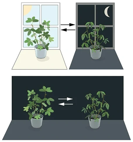 OQpoGmsdjOSWnhyOtCxxoiXCxeOCjowEDqdafYHuJqaIipia8Ge9mDSOxisLc7WUFUCsRs1Vw5IGTFYwvm1fcU9SWFuT2B5qxc3mvE41KzeJikyiFvhf5-CLNxleTm2I3gpgAMWEOVD_T38FRCfLwz6OWzbj9JLGcEVfzzPtRYDvZoOKigb3eE7e2fvfnBK1qt5eIQ