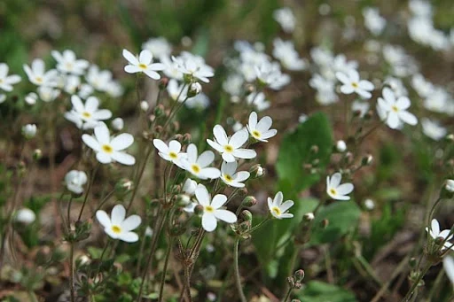 3UdeBJSadihIwKM0hFrs-GM5FKI92uk7mnBS3DvSaVJoh5p5dmhD-cgLiyEg6NBpkFnFHV1yRRMuU3WCkoq_y1wrZnG-sYw-grq2SbZ0zO5sFLNE-bgI19DmU2T1_PHgVWbFa3uCt7njj1BwOtP690l8ozX3s6F33ggkX9GglHurLRidDGlPJVQcSGY9cXg