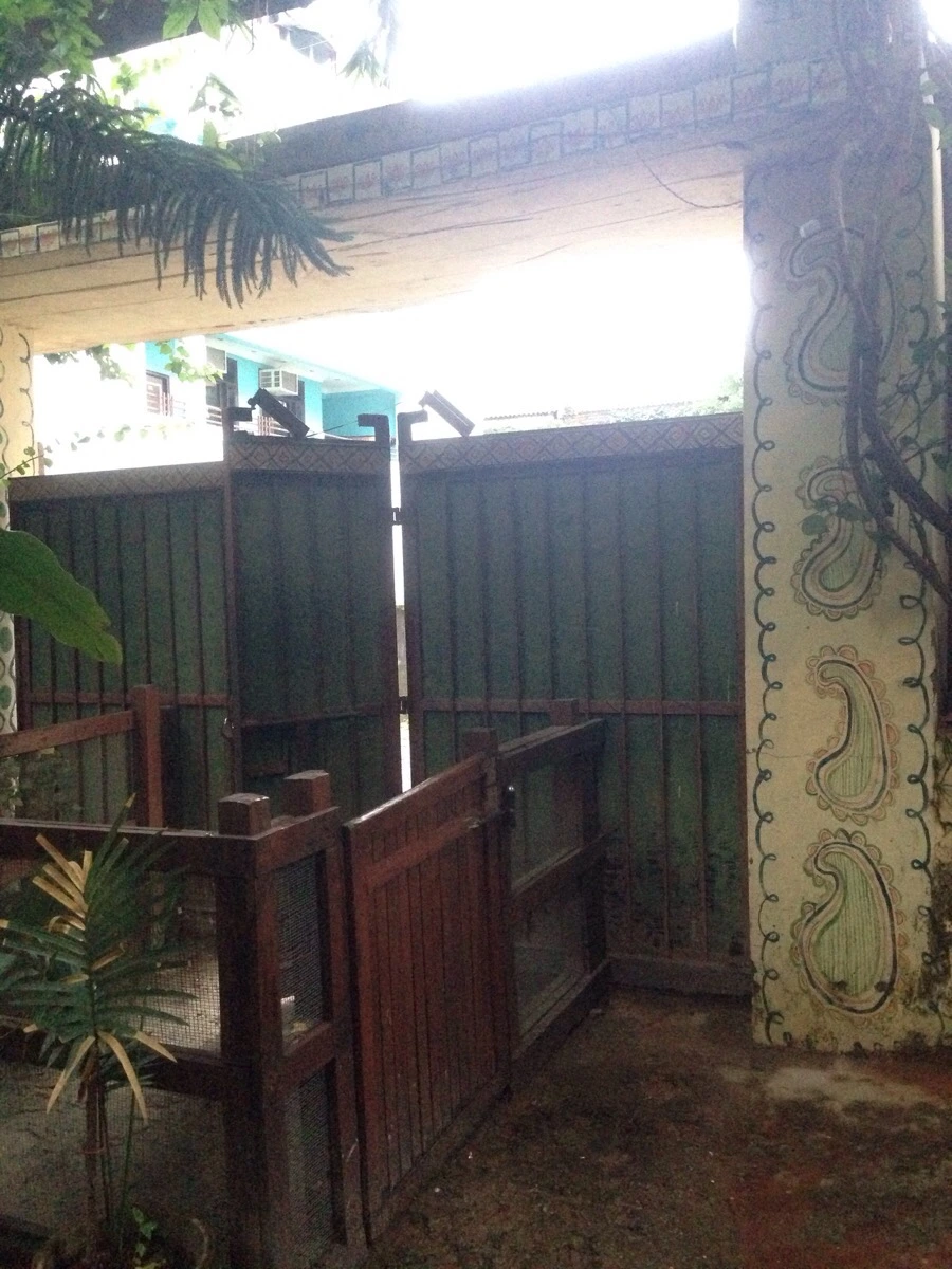 IMG_0336.jpg?type=w966