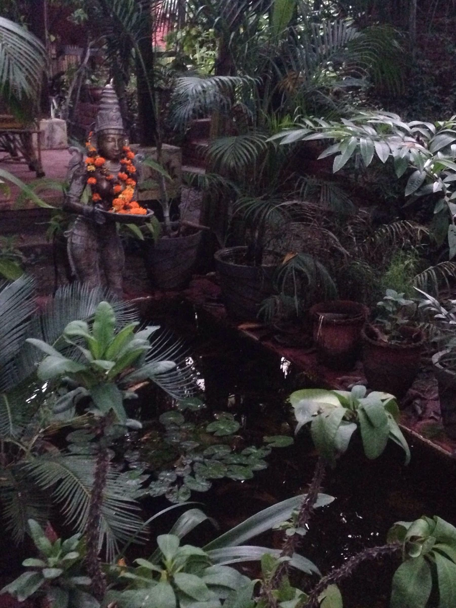 IMG_0335.jpg?type=w966