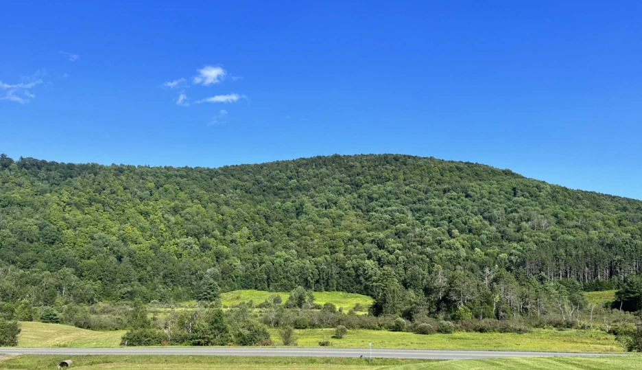 Screenshot_2023-08-21_102009.png?type=w1