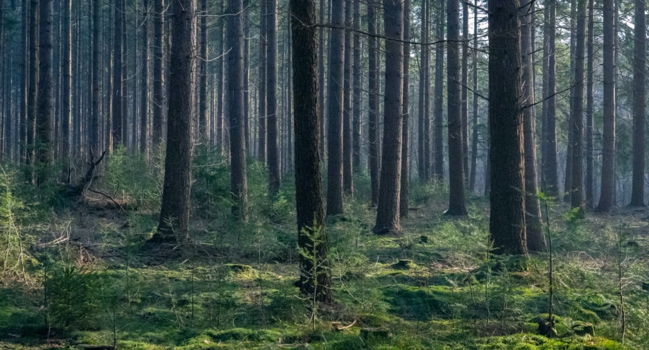 Screenshot_2023-08-21_111054.png?type=w1