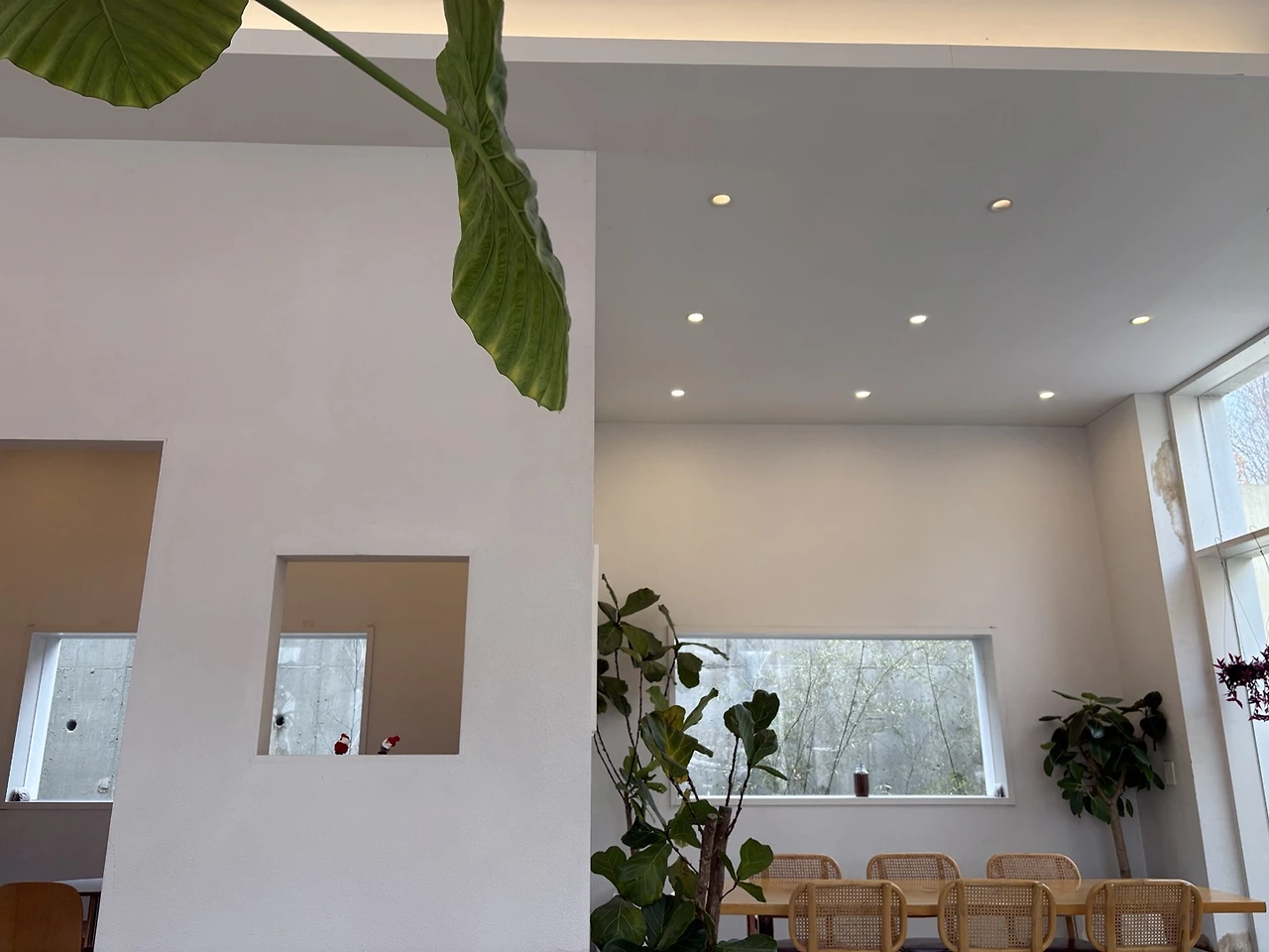 KakaoTalk_Photo_2025-01-23-16-37-13 026.jpeg