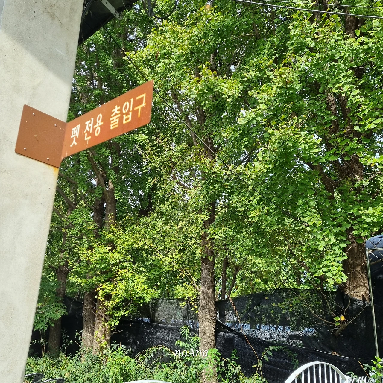 KakaoTalk_Photo_2024-10-06-15-27-52 018.jpeg