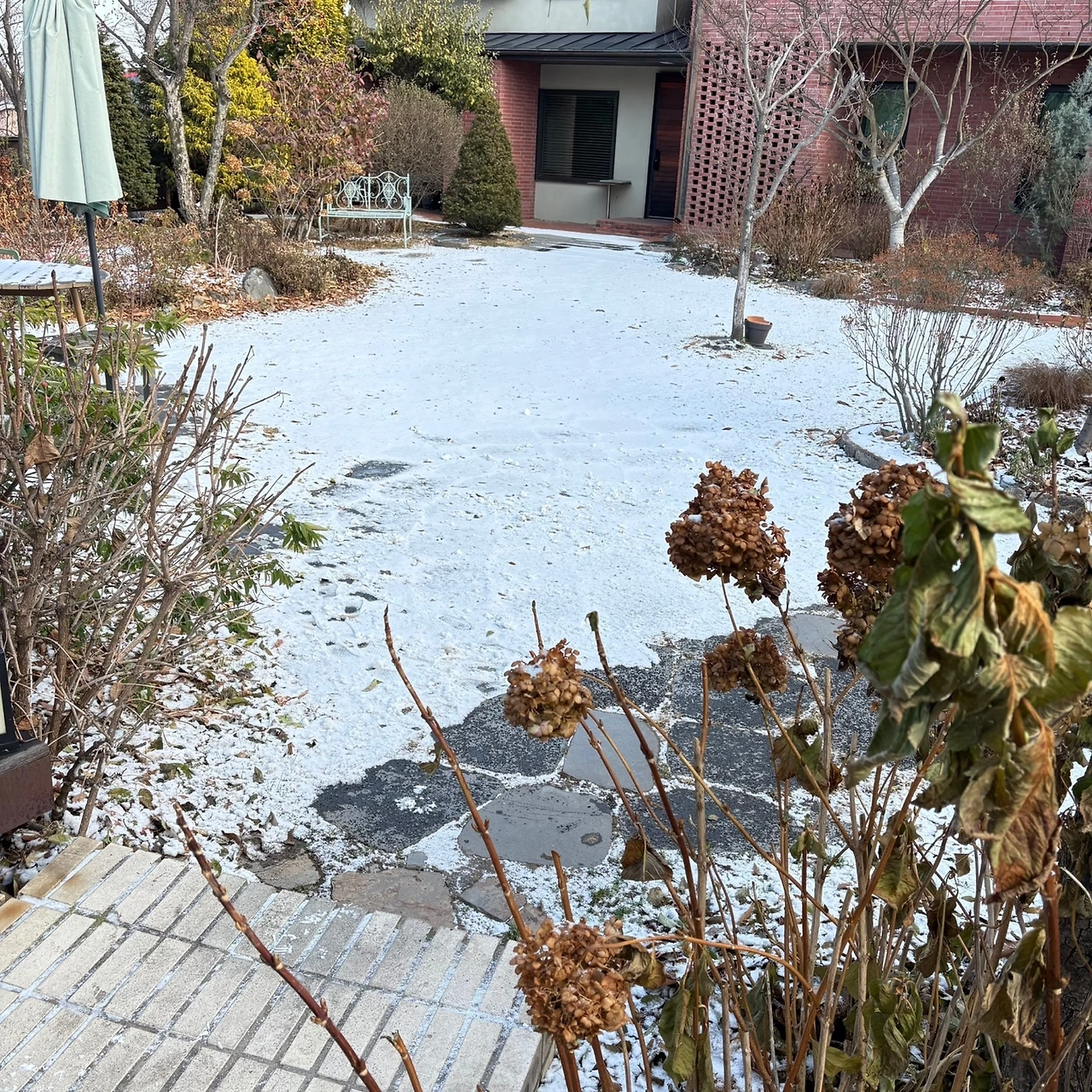 KakaoTalk_Photo_2024-12-17-13-20-06 005.jpeg