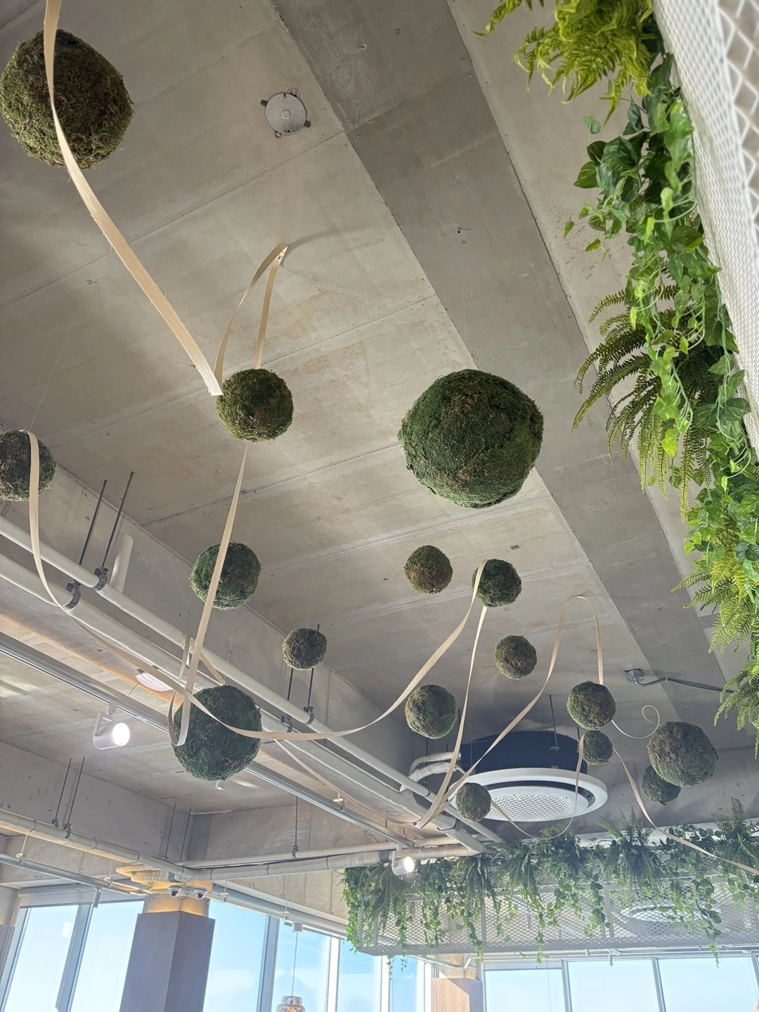 KakaoTalk_Photo_2025-01-23-16-32-30 014.jpeg