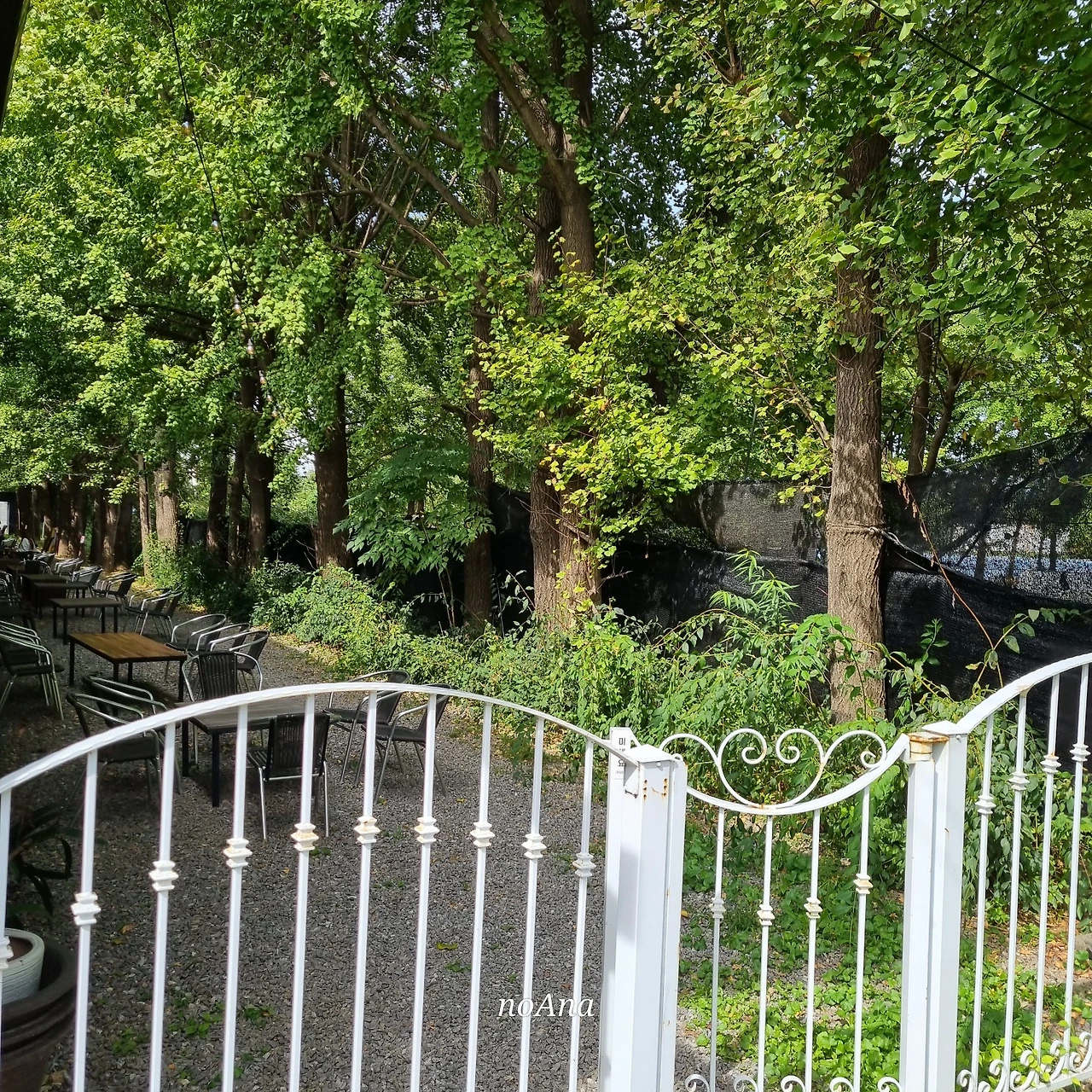 KakaoTalk_Photo_2024-10-06-15-27-52 019.jpeg