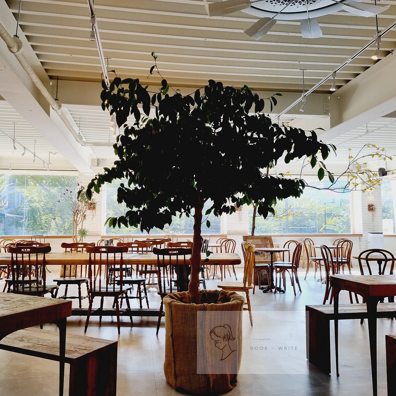 KakaoTalk_Photo_2024-09-28-10-10-30 004.jpeg