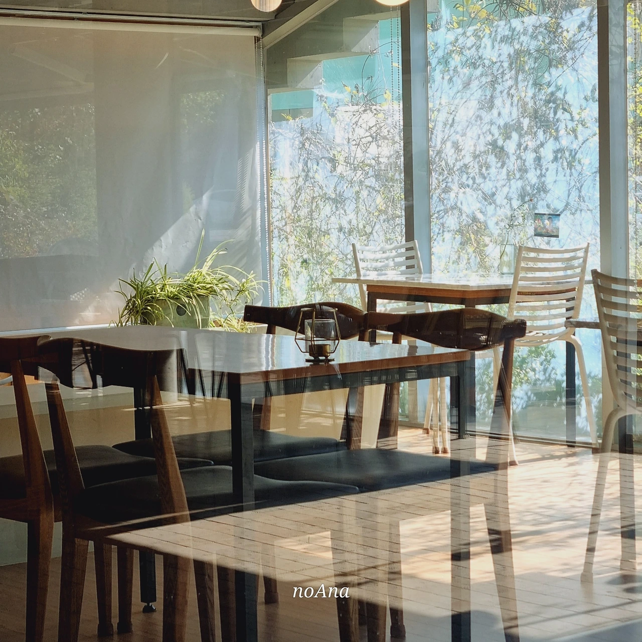 KakaoTalk_Photo_2024-10-06-15-36-10 005.jpeg