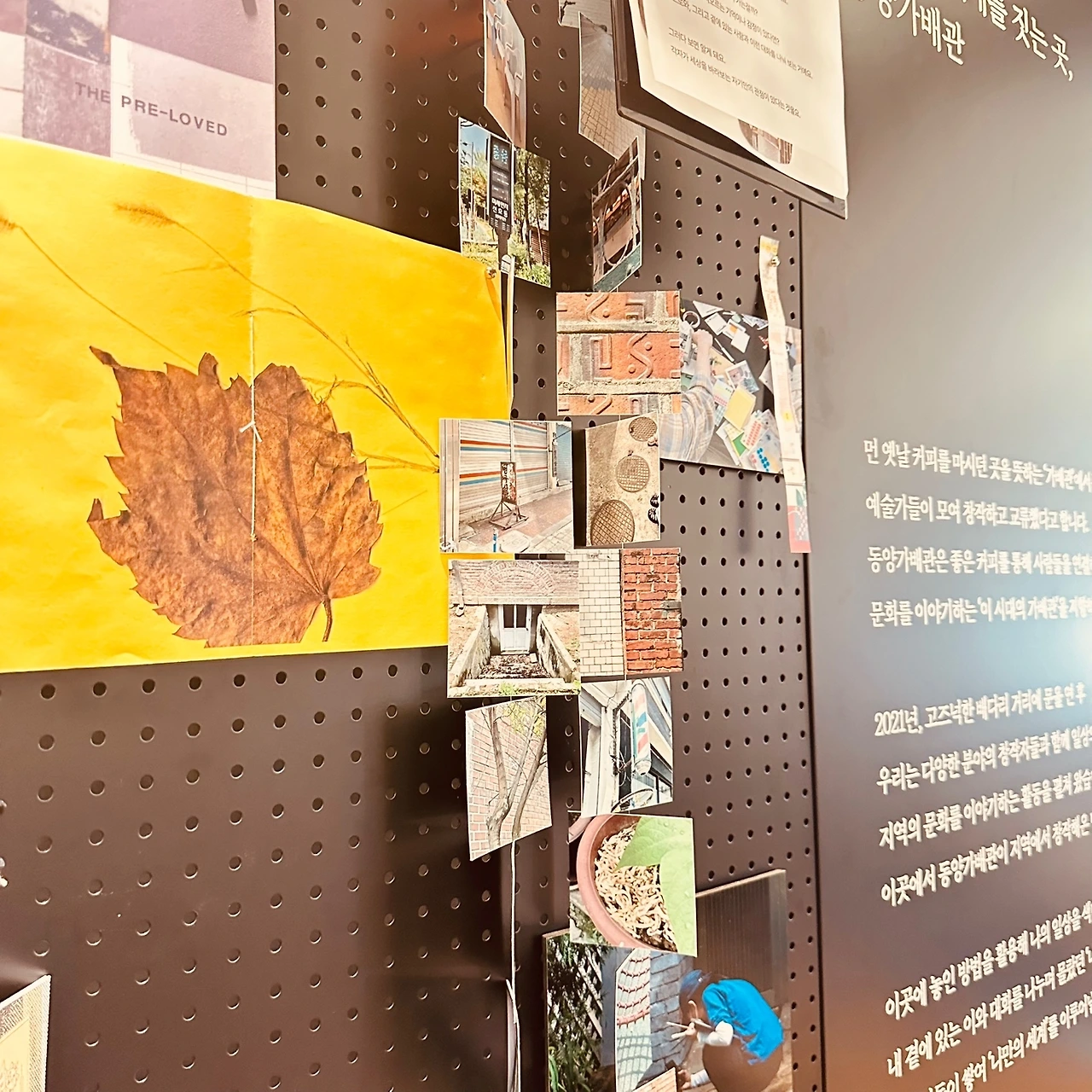 KakaoTalk_Photo_2024-10-28-12-31-52 006.jpeg