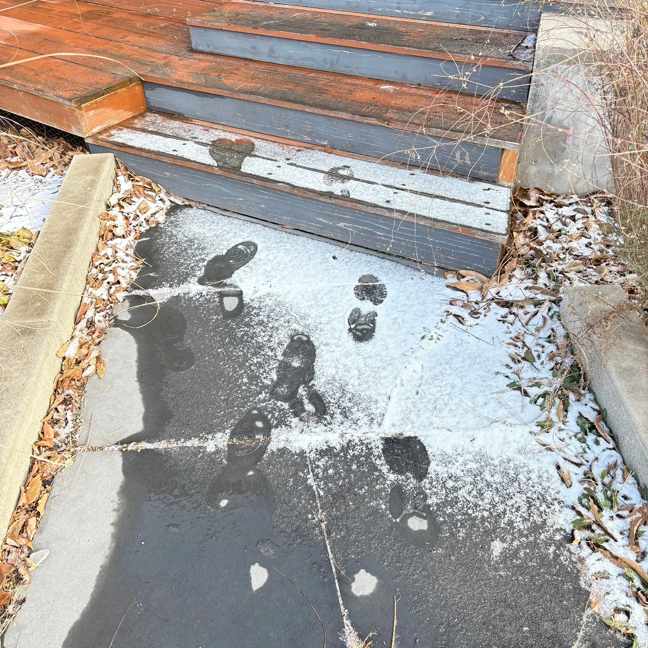 KakaoTalk_Photo_2024-12-17-13-20-06 008.jpeg