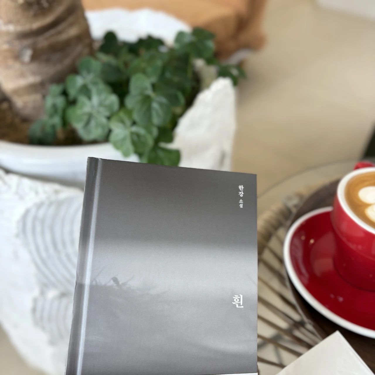 KakaoTalk_Photo_2025-01-23-16-37-13 022.jpeg