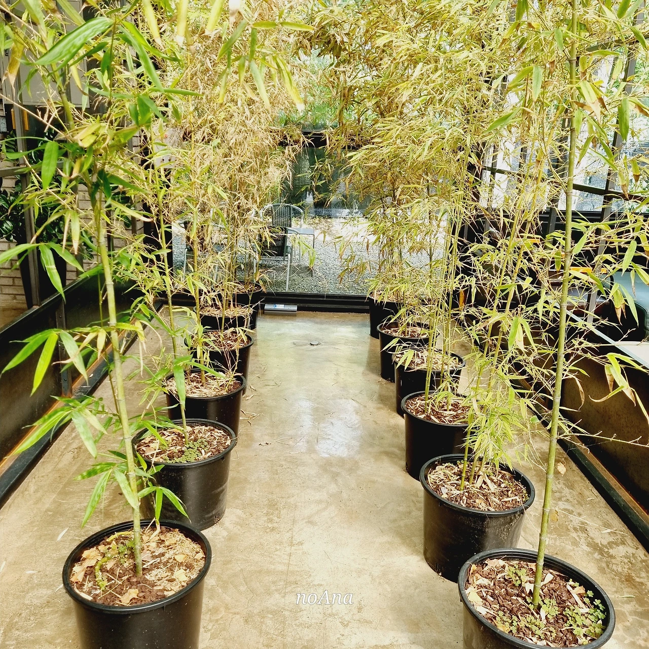 KakaoTalk_Photo_2024-10-06-15-27-46 009.jpeg