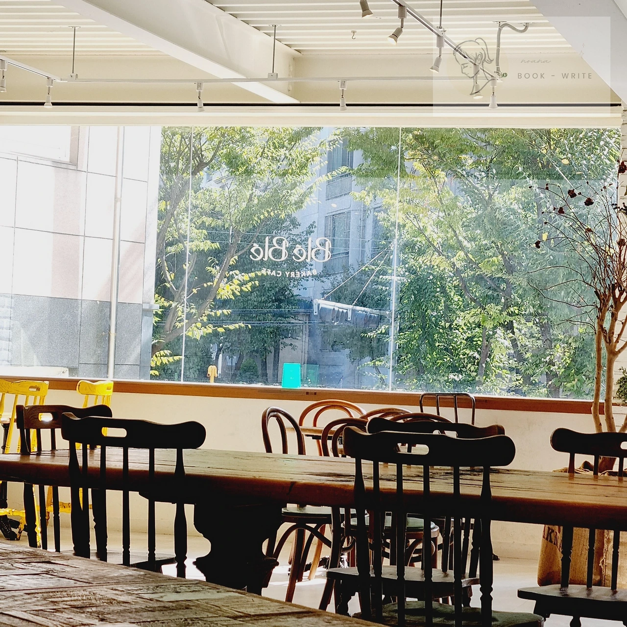 KakaoTalk_Photo_2024-09-28-10-10-29 001.jpeg