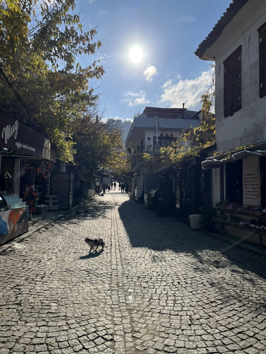 IMG_3538.jpg?type=w966