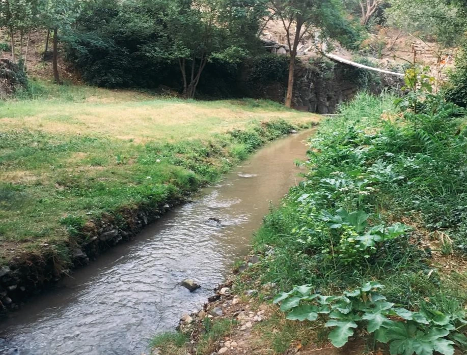 IMG_2641.JPG?type=w966