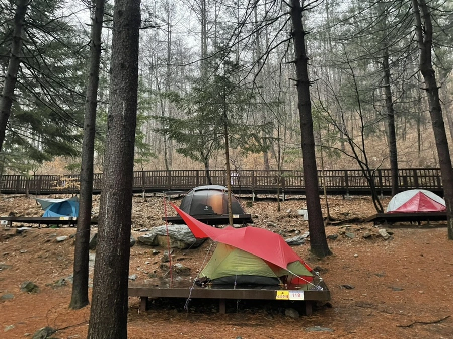 IMG_2197.jpg?type=w1