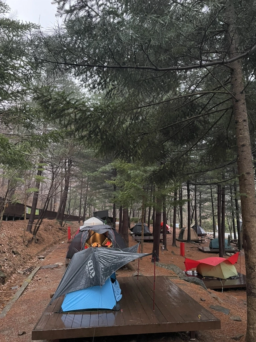 IMG_2206.jpg?type=w1