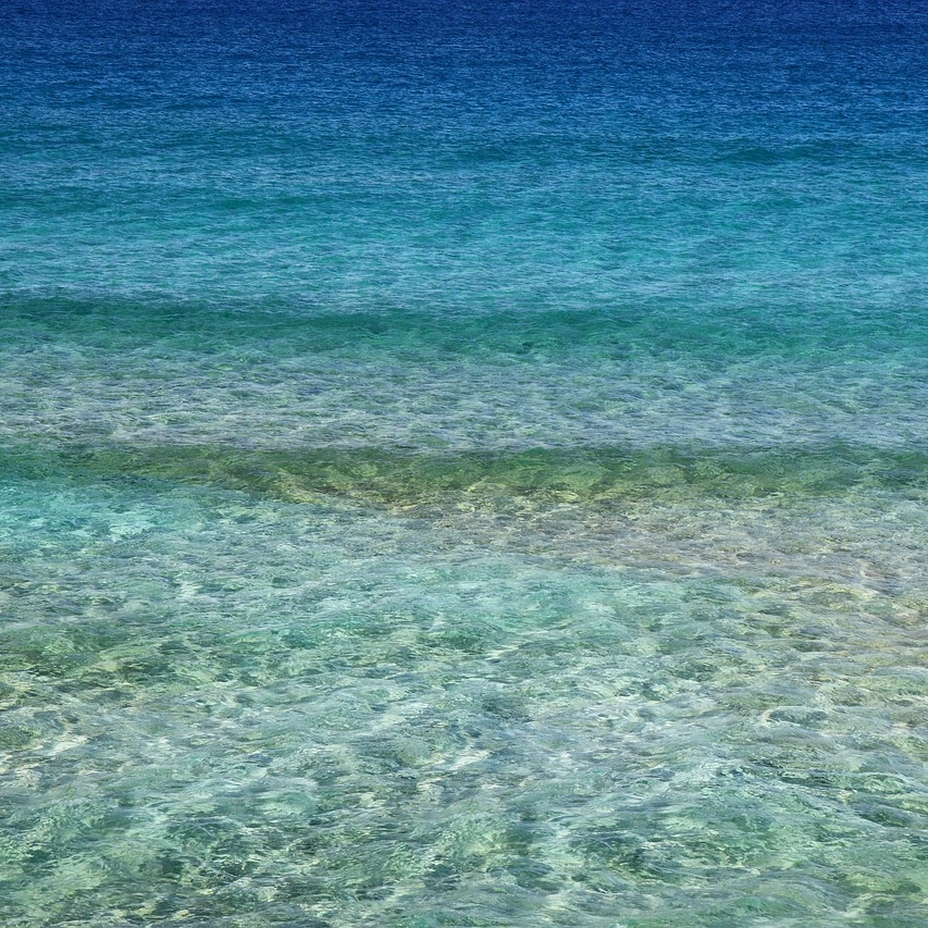 SE-f308b6dc-7094-4dc2-a927-d2ddbeef37d4.jpg?type=w1