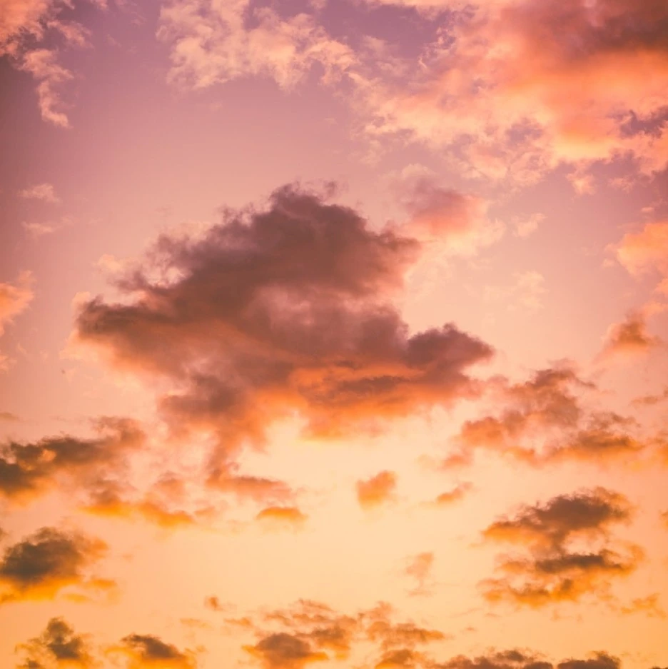 SE-c925c7b6-dd90-4fa0-bb7d-1fcf02215095.jpg?type=w1