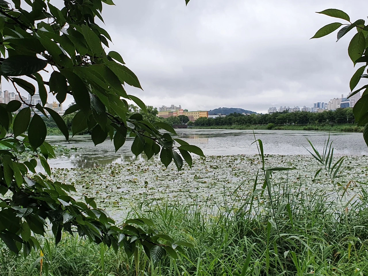 다운로드 (6).jpeg