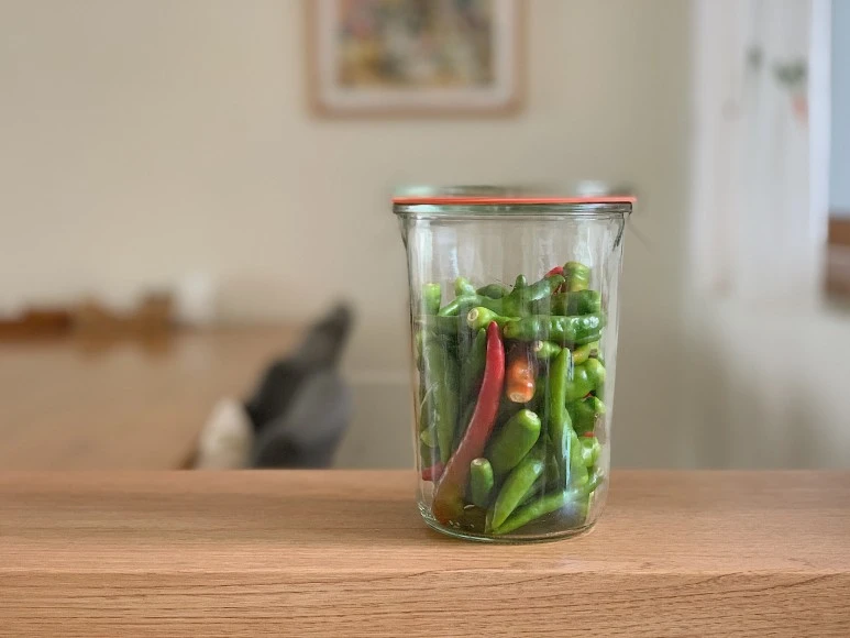 (%EC%82%AC%EC%A7%841-_%EC%9B%A9_%EA%B8%B0%EB%B3%B8%ED%98%954).JPG?type=w773