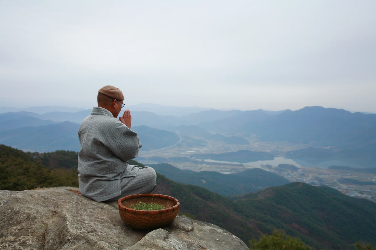 6.송화.솔잎.채취 후 참선.JPG