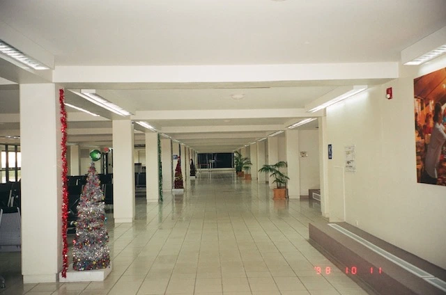 6584c7d8e8c69.jpeg?imgSeq=10593