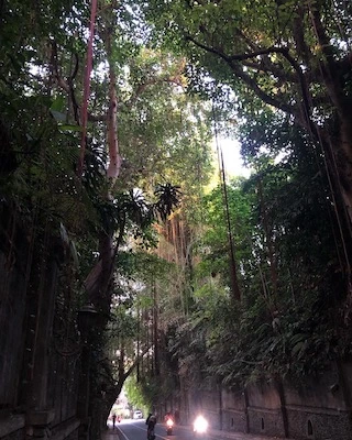 658df1038f233.jpeg?imgSeq=10991