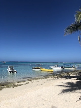 6584c0da9205c.jpeg?imgSeq=10590