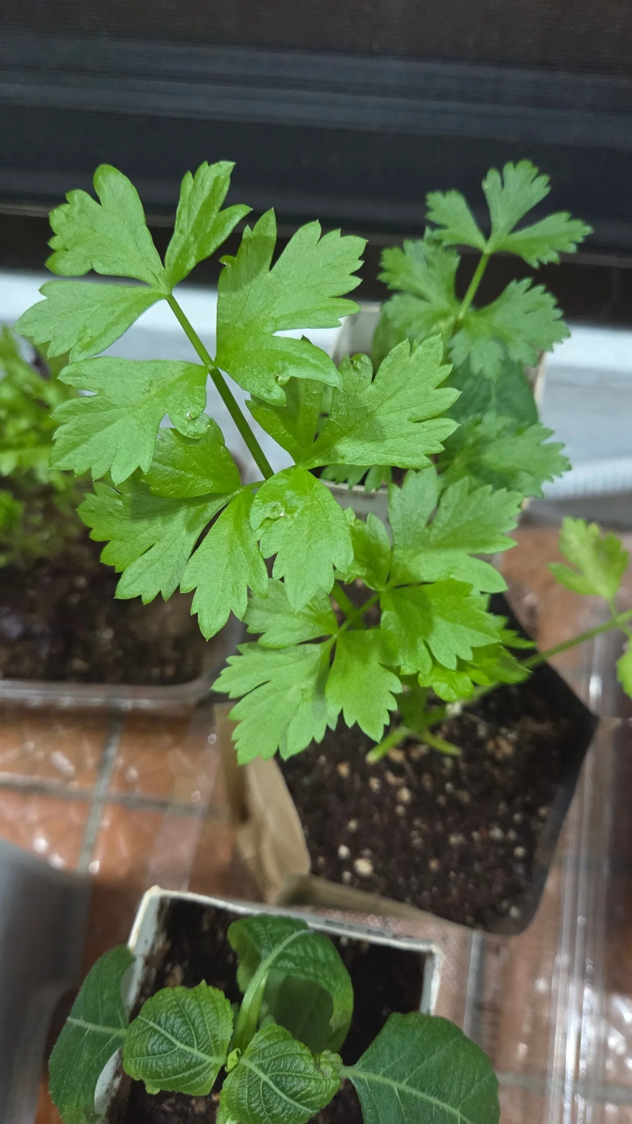 1280%EF%BC%BF20250508%EF%BC%BF220033.jpg?type=w1600