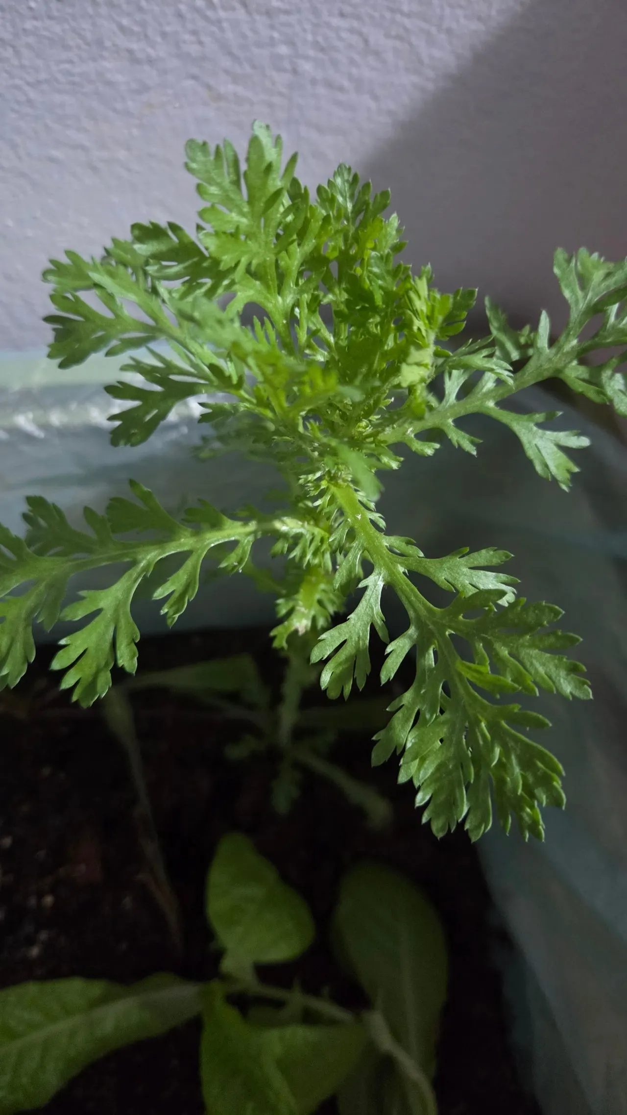 1280%EF%BC%BF20250508%EF%BC%BF220120.jpg?type=w1600