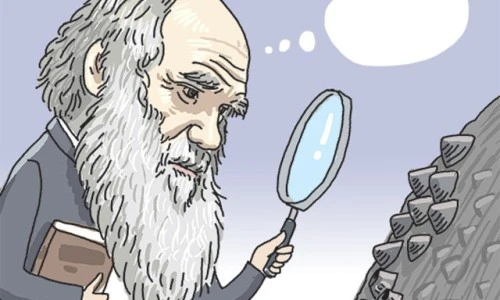 103354908.1.jpg%22&type=ff500_300