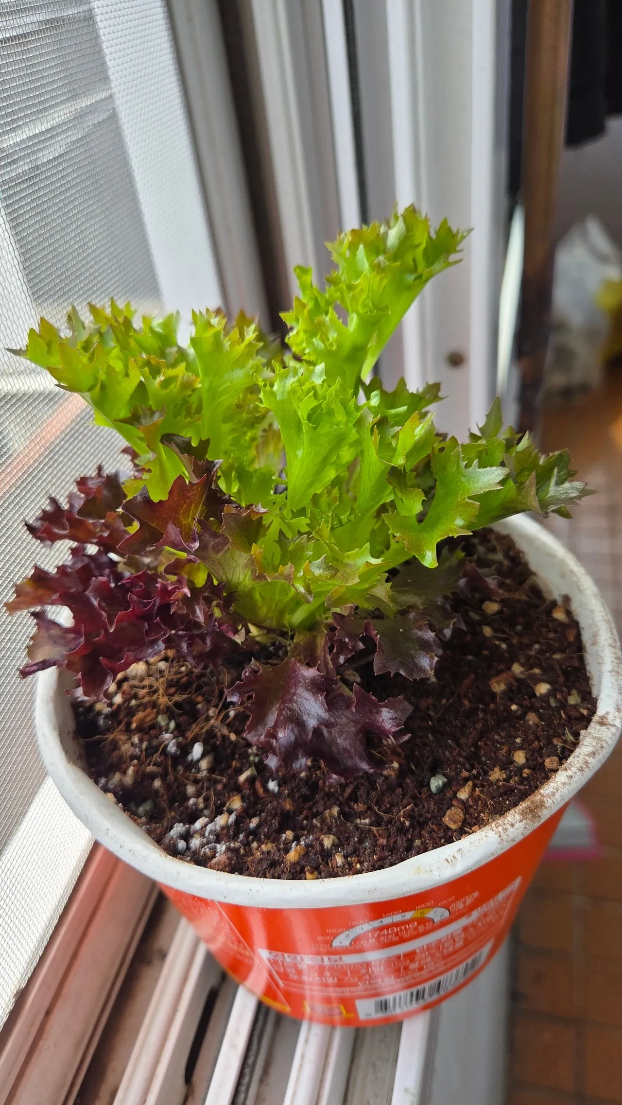 1280%EF%BC%BF20250511%EF%BC%BF104537.jpg?type=w1600