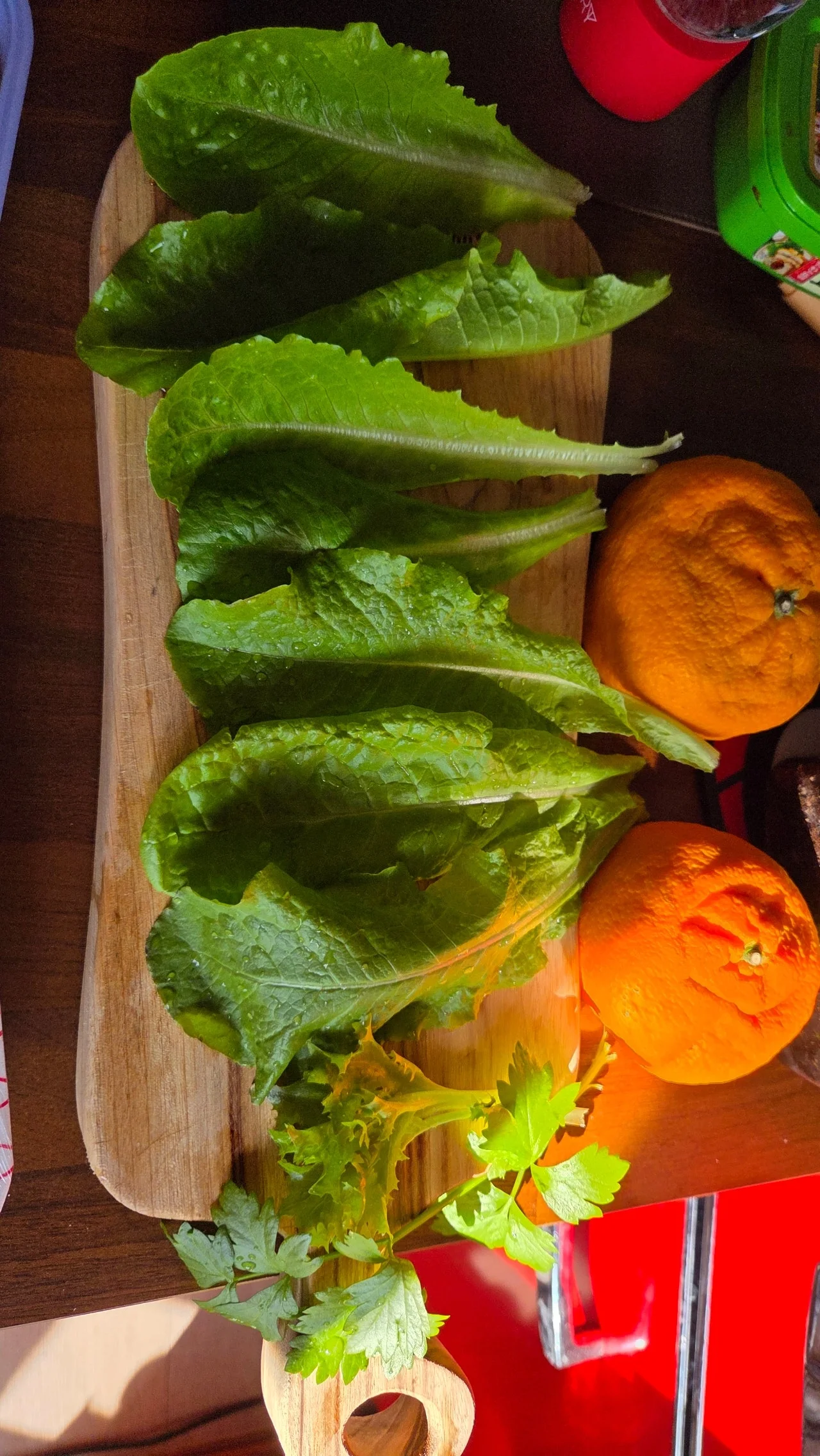 1280%EF%BC%BF20250513%EF%BC%BF075559.jpg?type=w1600