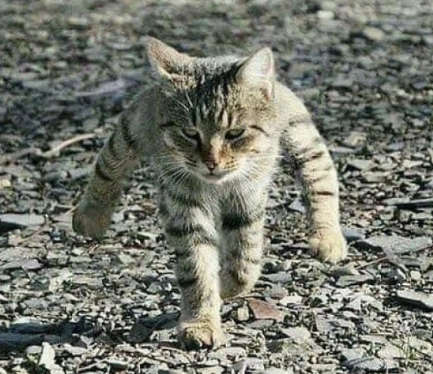 %ED%99%94%EB%A9%B4_%EC%BA%A1%EC%B2%98_2022-12-01_184205.jpg?typew1