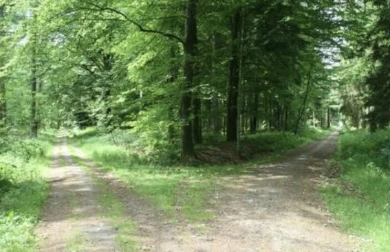 %ED%99%94%EB%A9%B4_%EC%BA%A1%EC%B2%98_2022-12-10_205624.jpg?type=w1