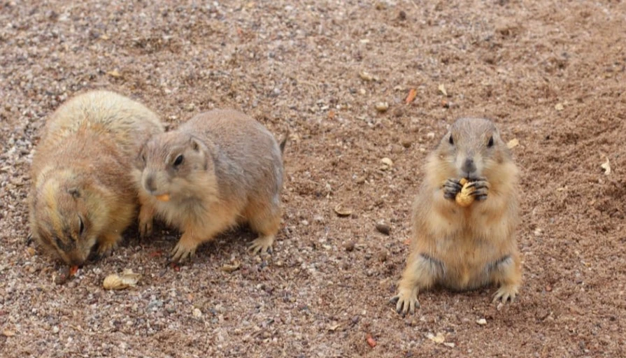 %ED%99%94%EB%A9%B4_%EC%BA%A1%EC%B2%98_2022-12-10_191813.jpg?typew1