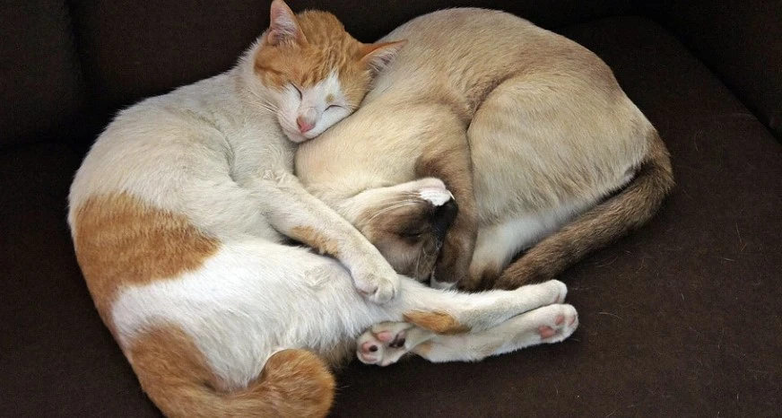 %ED%99%94%EB%A9%B4_%EC%BA%A1%EC%B2%98_2023-01-25_212839.jpg?type=w1