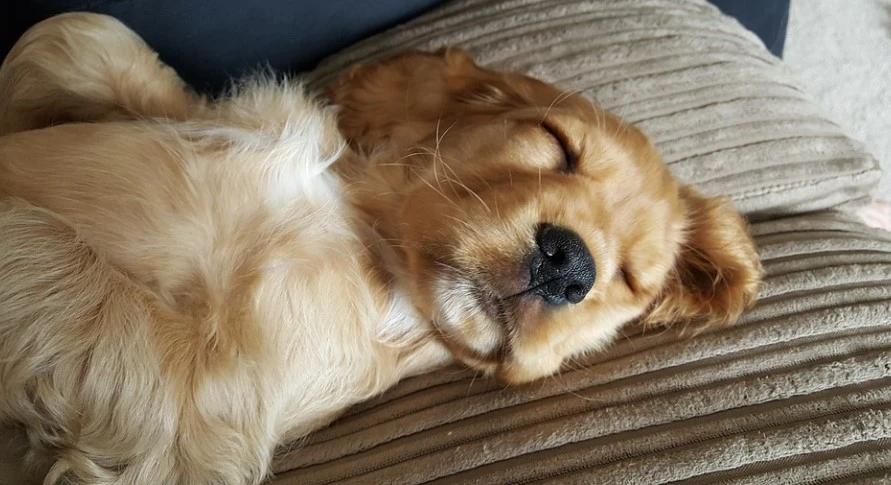 %ED%99%94%EB%A9%B4_%EC%BA%A1%EC%B2%98_2023-01-25_212742.jpg?type=w1