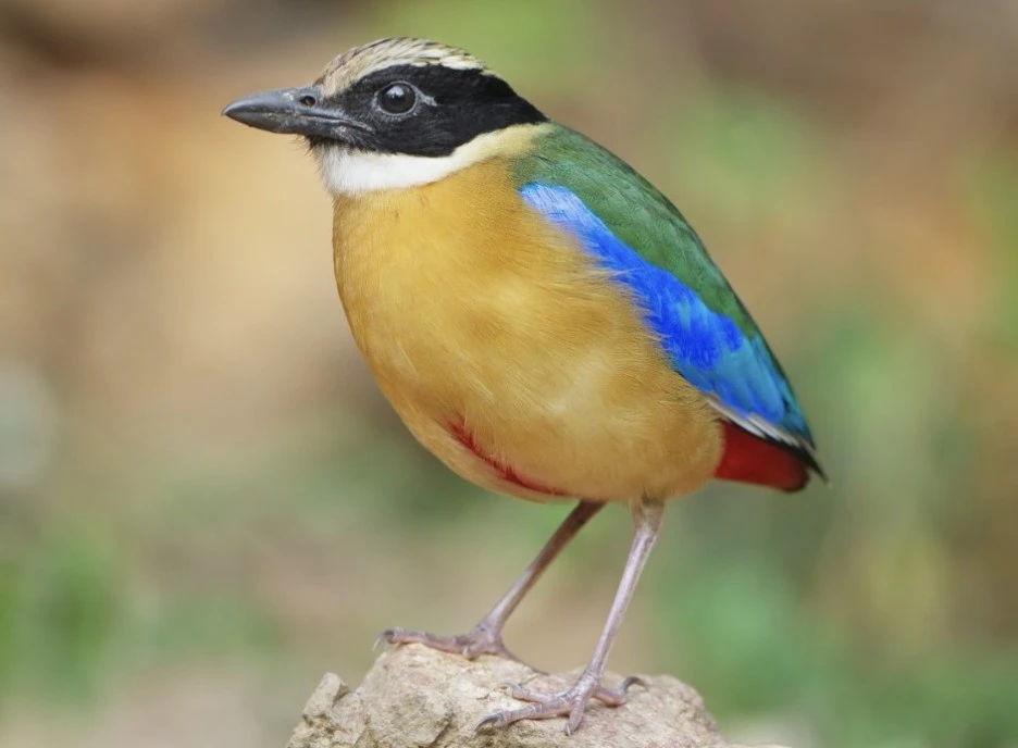 %ED%99%94%EB%A9%B4_%EC%BA%A1%EC%B2%98_2023-03-12_234743.jpg?type=w1