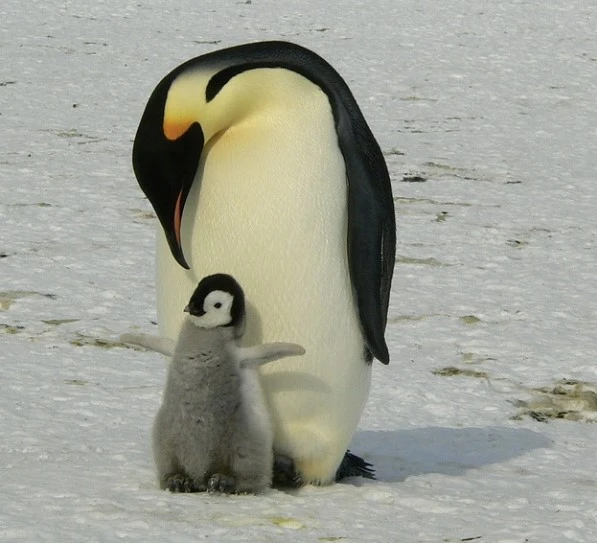 %ED%99%94%EB%A9%B4_%EC%BA%A1%EC%B2%98_2022-11-26_222120.jpg?type=w1