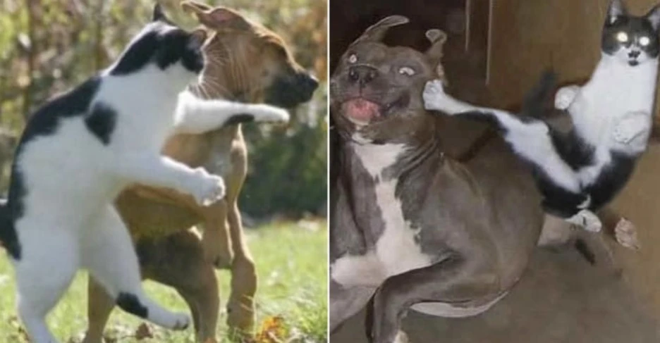 %ED%99%94%EB%A9%B4_%EC%BA%A1%EC%B2%98_2022-12-01_184354.jpg?typew1