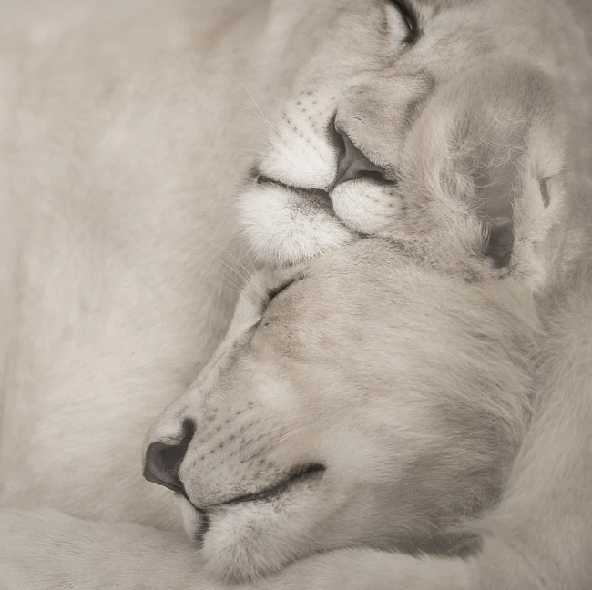 %ED%99%94%EB%A9%B4_%EC%BA%A1%EC%B2%98_2023-01-25_212800.jpg?type=w1