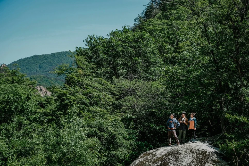 %EB%8B%A4%EC%9A%B4%EB%A1%9C%EB%93%9C.jpeg?type=w966