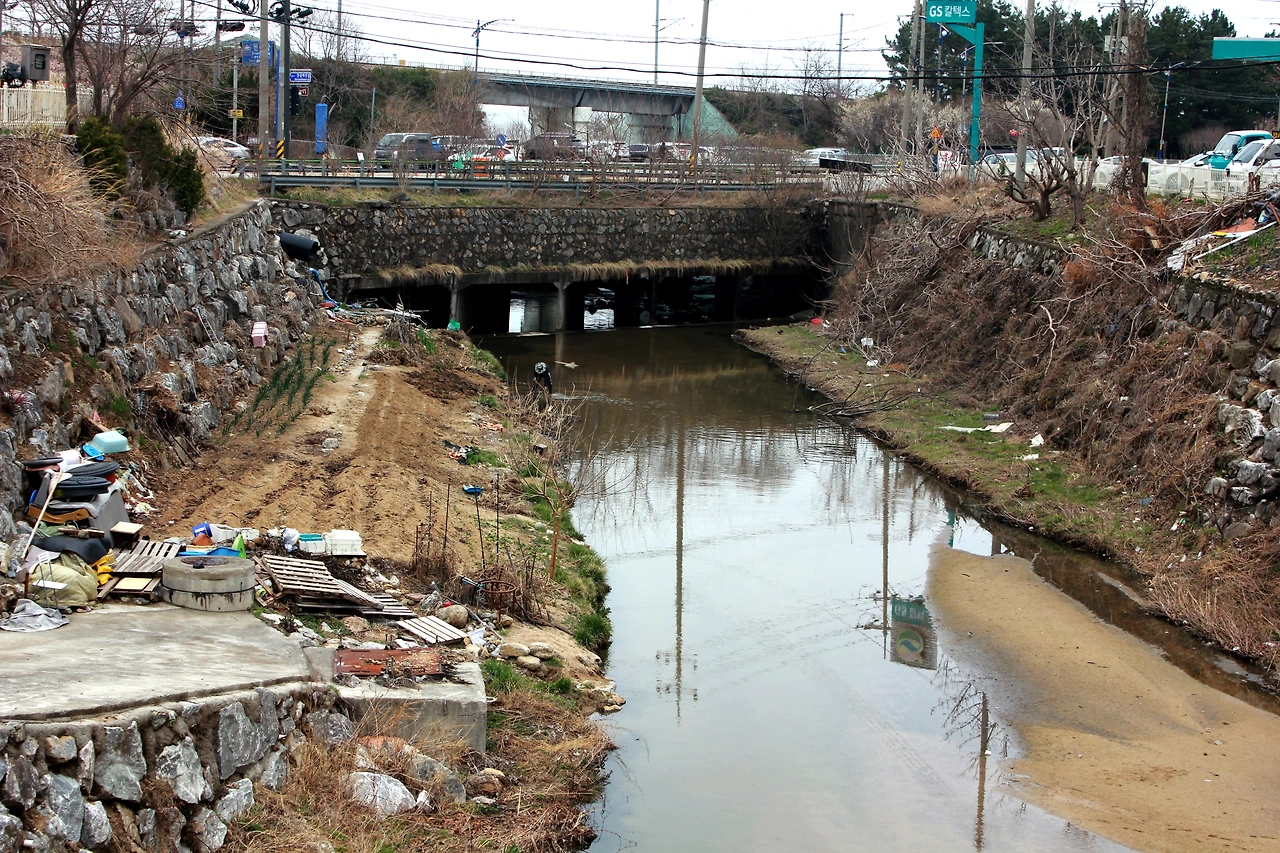 동해-천곡동-천곡천 (1).JPG