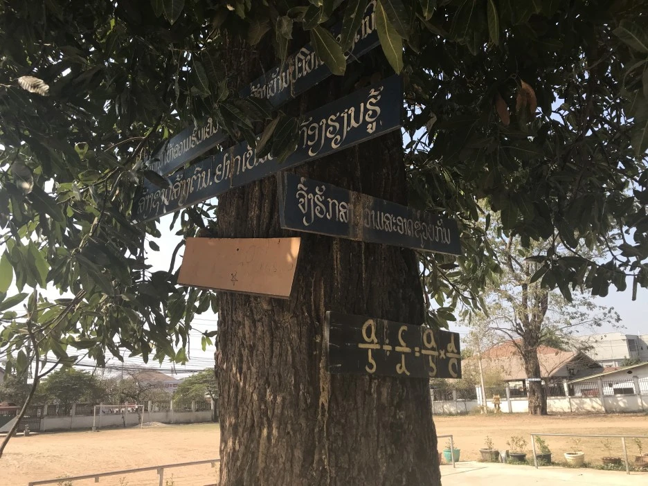 IMG_3455.JPG?type=w1