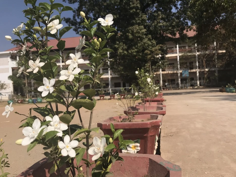 IMG_3466.JPG?type=w1