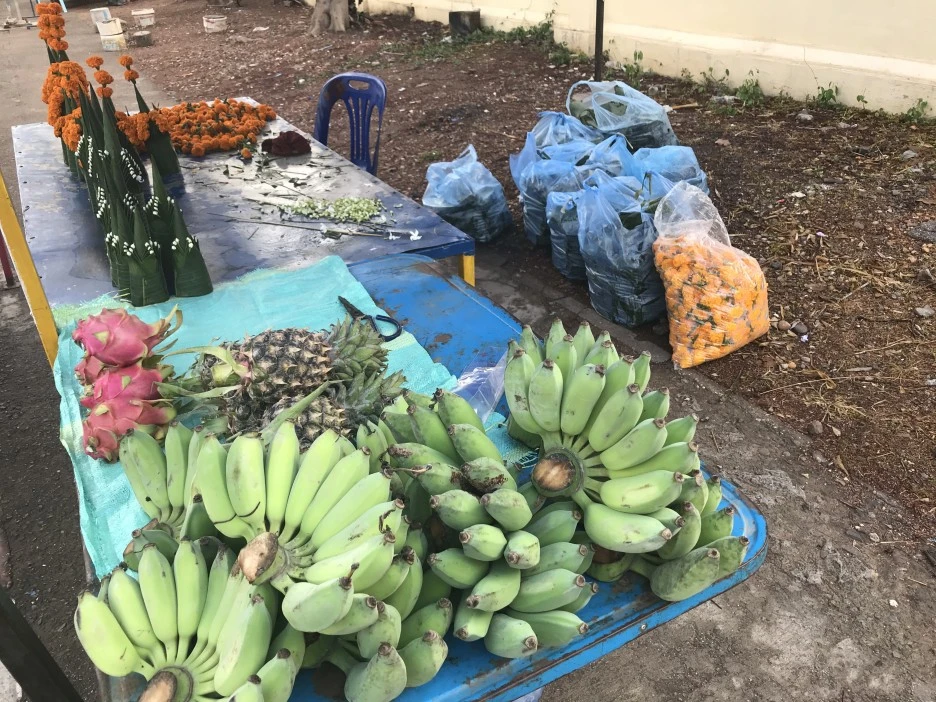 IMG_3781.JPG?type=w1