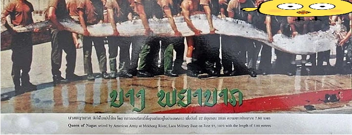 %EA%BE%B8%EB%AF%B8%EA%B8%B01.jpg?type=w1